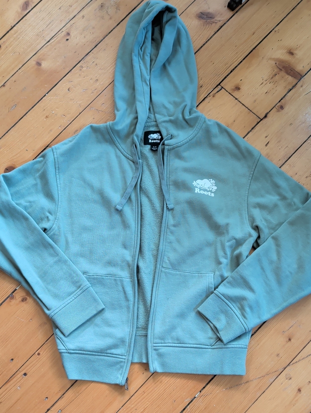 Roots Light Sage Zip-Up Hoodie with Logo, S